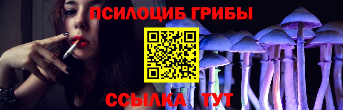 Псилоцибиновые грибы MAGIC MUSHROOMS Советская Гавань